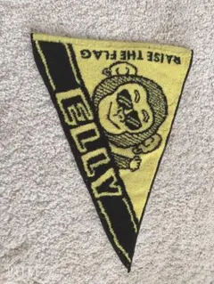 RAISE THE FLAG ツアーグッズ