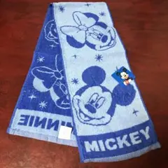 Item thumbnail for item 480be288-2f2e-4984-824e-6c54d9ccea27