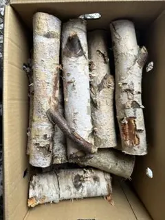 Item thumbnail for item b1ad6e15-361c-4d03-b38a-b8665ef9af76