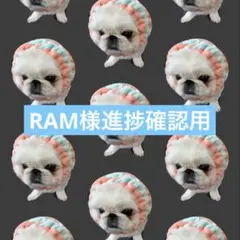 RAM様進捗確認用