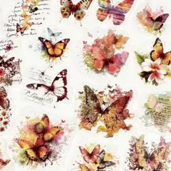 ◤コラージュ◢✨新品✨　PETシール　蝶のコラージュ　カラフル　40枚入り