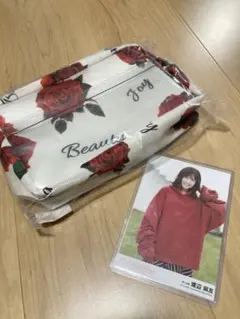 Item thumbnail for item 86879977-62d3-4d1a-b09c-c99716ed9be2