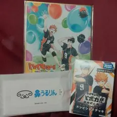 非売品　ハイキュー!!　ファンパーク　特典セット　色紙　バボカ　鼻うるりん