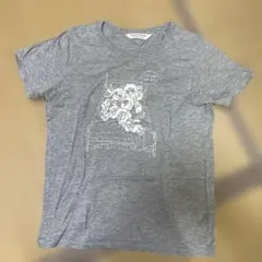 Item thumbnail for item 7d8e87ef-a857-4cf1-a29c-778170e2e92c