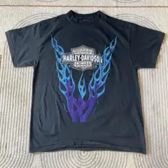 2026年最新】ハーレーダビッドソン tシャツ フレイムの人気アイテム