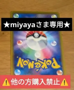 ★miyayaさま専用★⚠️他の方購入禁止⚠️
