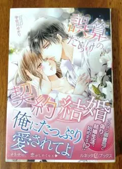 【b】誤算だらけの契約結婚　宇佐川 ゆかり　田中琳　TL　ルネッタブックス