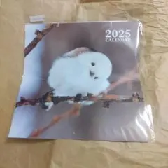 Item thumbnail for item 86dea209-05f6-46e8-961b-018aa95dfe26