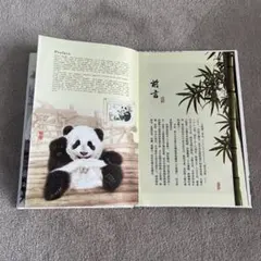 2026年最新】中国 熊猫 切手の人気アイテム - メルカリ