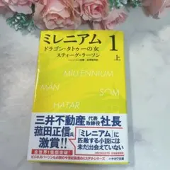 Item thumbnail for item ebad17b4-3ff5-4a27-baac-39c904c01692