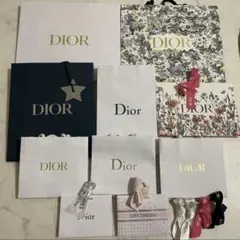 DIOR ディオールショップ袋ショッパー