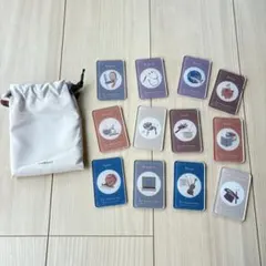 3COINS erabitori 選び取りカード 1歳 誕生日のサムネイル