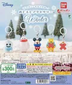 “ディズニーキャラクター” めじるしアクセサリー WINTER