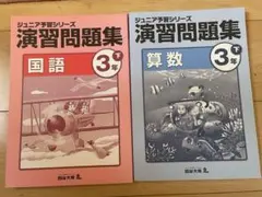 2026年最新】ジュニア予習シリーズの人気アイテム - メルカリ