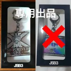 【専用】JSB3 15周年スタジアム 入場特典