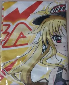 ネコぱら 華ロリ あみあみ限定クリアポスター 2種セット - メルカリ