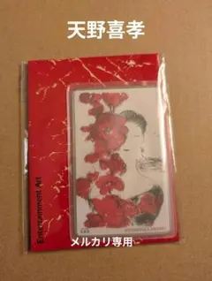 ◆ファン必見◆天野喜孝◆IL VENTO ROSSO◆アールビバン保証書有◆ ◇ファン必見◇天野喜孝◇IL VENTO ROSSO◇アールビバン保証書有