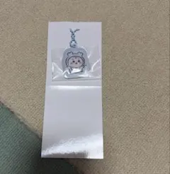 ちいかわベイビートレーディングPVCぷっくりキーホルダー