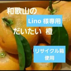Lino様専用　橙　60サイズ　リサイクル箱詰め