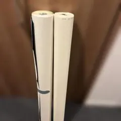 Item thumbnail for item fc24d31a-1352-41b9-b968-d89d0837feed