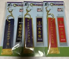 タイトーくじ HORSE HEROES E賞 優勝風レイフライトタグ