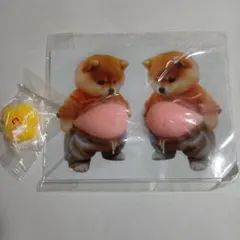 柴犬　ぷにぷに　シール　スクイーズ　お腹　ぽっこり　肉球