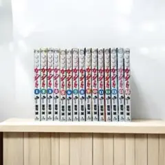 金色のガッシュ | セット