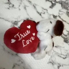 ユニバーサルスタジオジャパンスヌーピーキーホルダー3