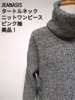 JEANASIS タートルネック ニットワンピース グレー系