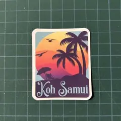 防水ステッカー　サーフィン　ビーチ　ハワイ