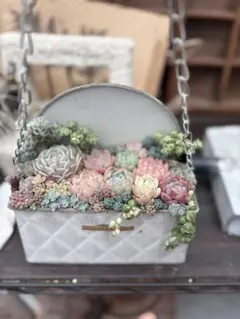 多肉植物寄せ植え　すぐに飾れる　ショルダーバッグ型鉢