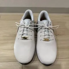 ナイキメンズシューズ
