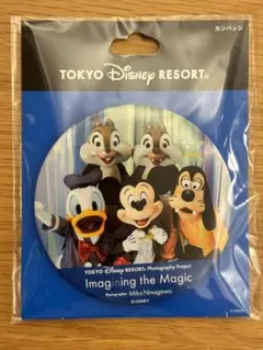 ディズニーリゾート イマジニングザマジック 缶バッジ