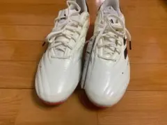 Item thumbnail for item 04bad4cf-01f8-4e35-8698-dc34e9c05b4b