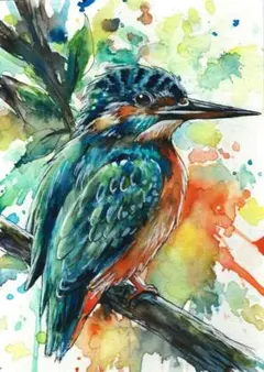 手描きイラスト　カワセミ　水彩画　絵画　翡翠　鳥　生き物のサムネイル