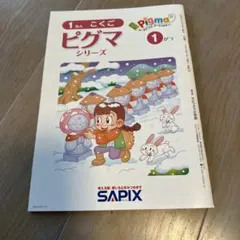 2026年最新】サピックス ピグマの人気アイテム - メルカリ