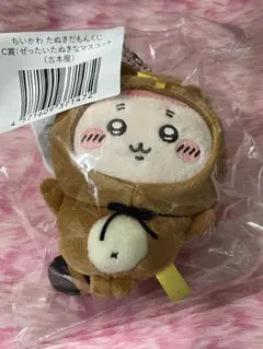 ちいかわ たぬきだもんくじ C賞 古本屋 カニ ちいかわくじ くじ