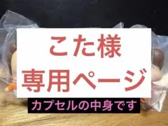 こた様　専用ページ