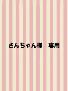 さんちゃん様 リクエスト 2点 まとめ商品
