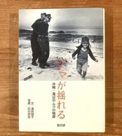 シマが揺れる : 沖縄・海辺のムラの物語