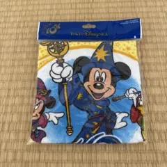 【新品・未使用】TOKYO Disney SEA ウォッシュタオル