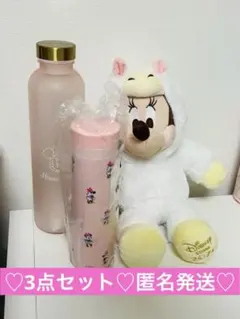 ディズニーストア ラッキーバック ミニー　ステンレスボトル　ウォーターボトル