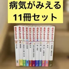 最終値下済✨病気がみえるセットvol.1~11✨送料込 病気がみえる vol.1-11 11冊セット