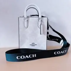 COACH コーチ ショルダーバッグ ノース サウス ミニ トートシグネチャーのサムネイル