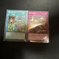 隣の芝刈り　融合複製　　スーパー