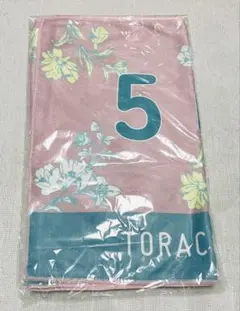 Item thumbnail for item 172f1507-8788-4bfb-bbb7-358ea34aec92