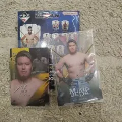 RAIZIN一番くじ　C賞　アクリルスタンド