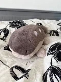ドオー　ぬいぐるみ　ポケモン