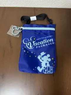 【新品未使用】東京ディズニーリゾート バケパ ショルダー 2個