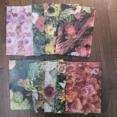 Item thumbnail for item e4d913d2-2551-4eda-99a2-93ef8a4dcaf3